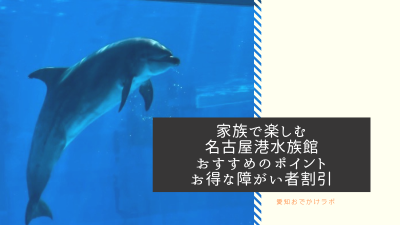 【名古屋港水族館】シャチにイルカ、ダイオウグソクムシ！幼児と楽しむポイントを徹底解説