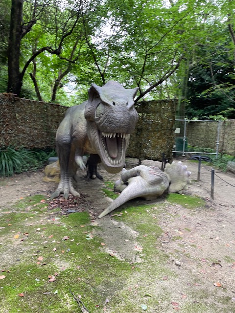 ディノランド内のティラノサウルスとトリケラトプスの写真
