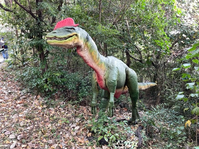 ディロフォサウルスの写真