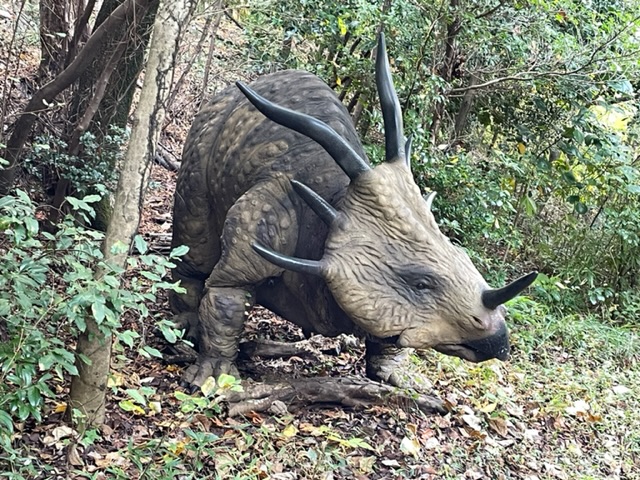 スティラコサウルスの写真