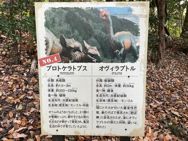 ディノアドベンチャー名古屋内のプロトケラトプスとオヴィラプトルの案内板の写真