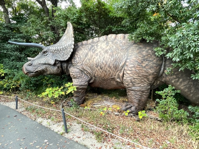 トリケラトプスの写真