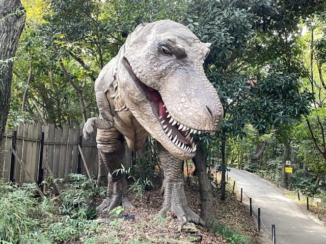 ティラノサウルスの写真