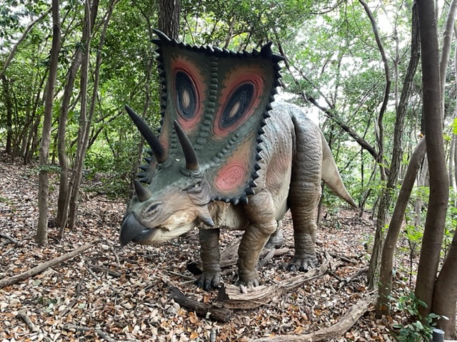 カスモサウルスの写真