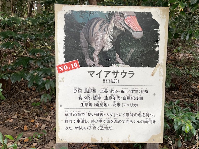 ディノアドベンチャー名古屋内のマイアサウラの案内板の写真