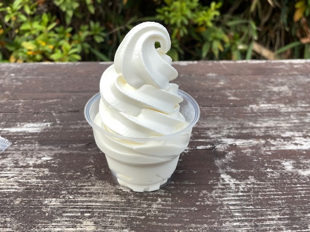 ディノアドベンチャー名古屋のお土産屋さんで購入したソフトクリームの写真