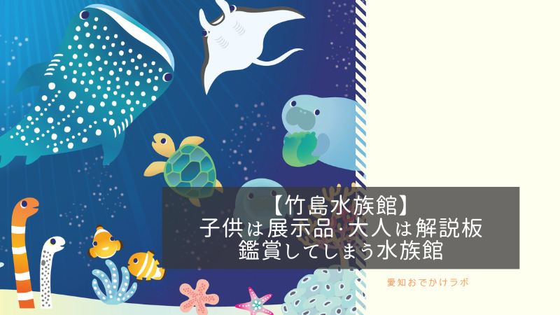 【竹島水族館】子供は展示品・大人は解説板を鑑賞してしまう水族館。